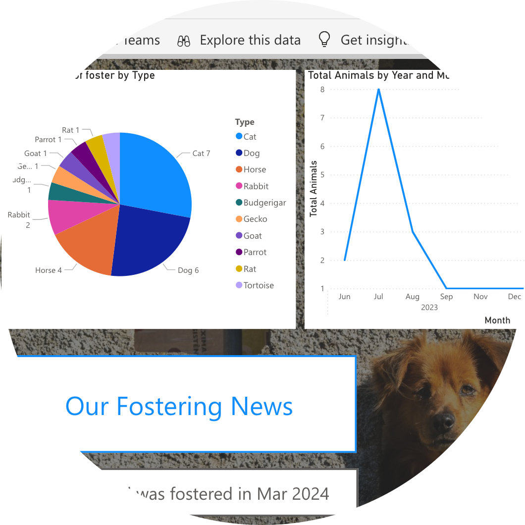 pie and line charts